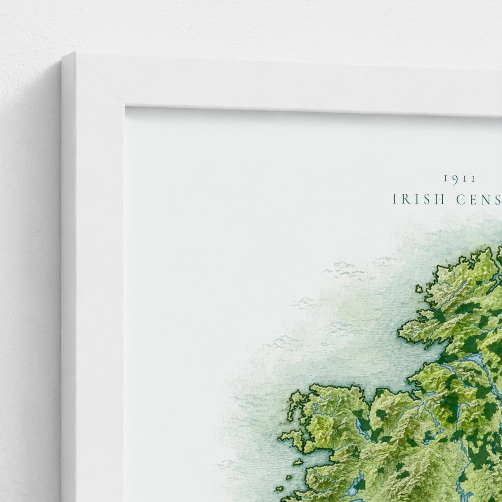 Irish Census Art - Classic Frame