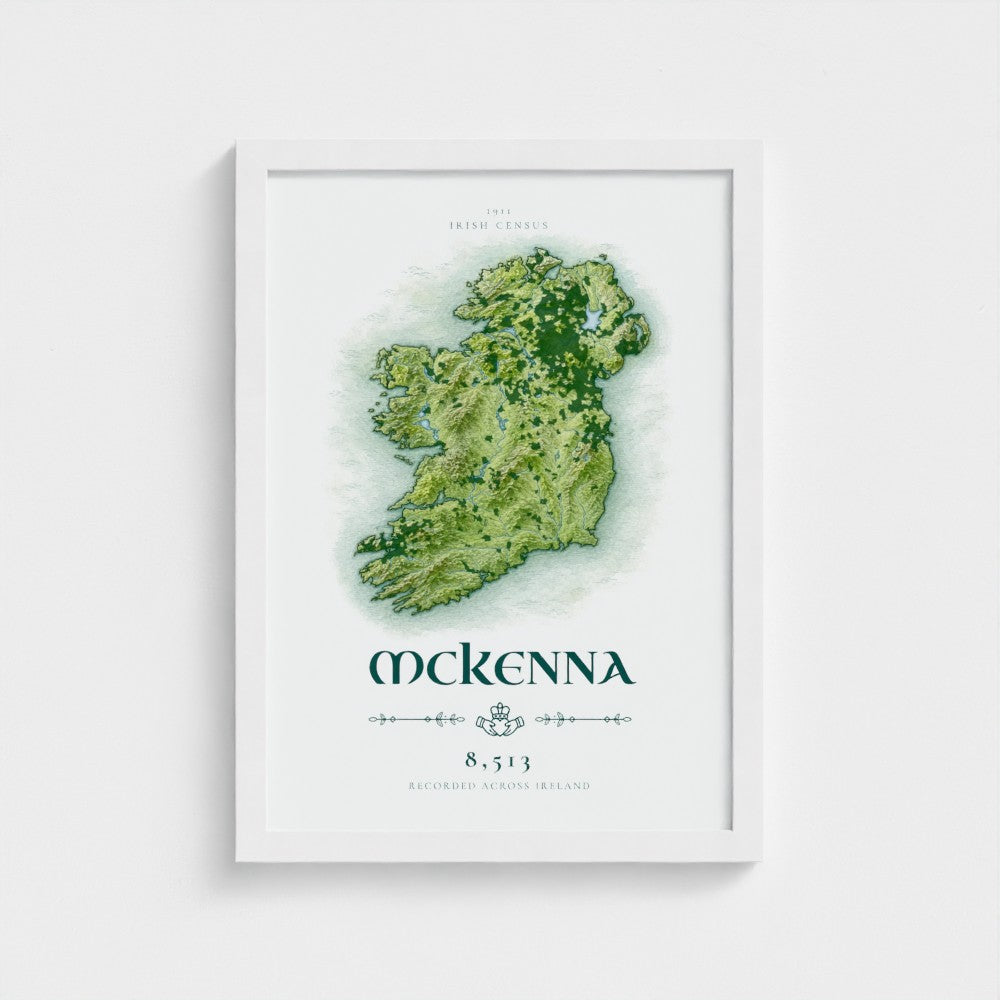 Irish Census Art - Classic Frame
